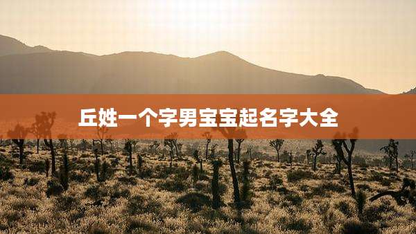 丘姓一个字男宝宝起名字大全