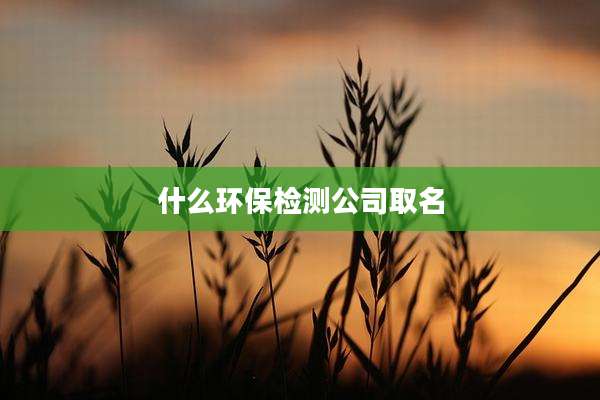 什么环保检测公司取名