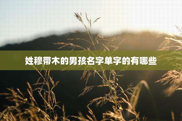 姓穆带木的男孩名字单字的有哪些