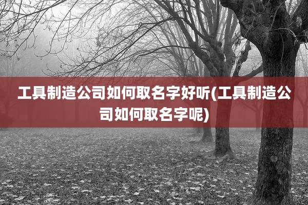 工具制造公司如何取名字好听(工具制造公司如何取名字呢)