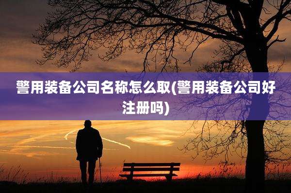 警用装备公司名称怎么取(警用装备公司好注册吗)