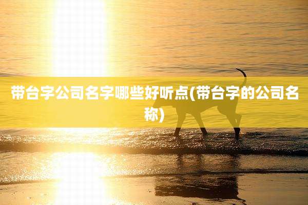 带台字公司名字哪些好听点(带台字的公司名称)