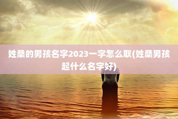 姓桑的男孩名字2023一字怎么取(姓桑男孩起什么名字好)