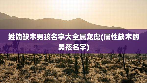 姓简缺木男孩名字大全属龙虎(属性缺木的男孩名字)