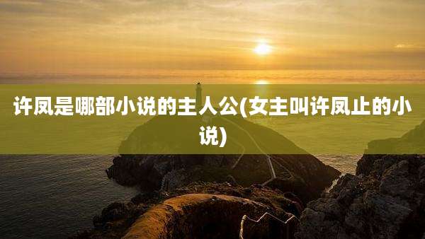 许凤是哪部小说的主人公(女主叫许凤止的小说)