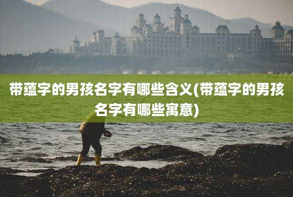 带蕴字的男孩名字有哪些含义(带蕴字的男孩名字有哪些寓意)