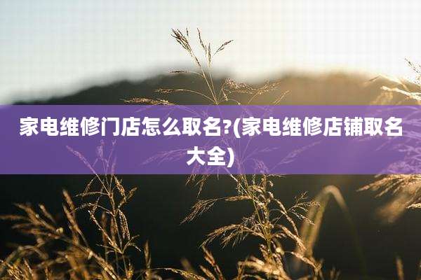 家电维修门店怎么取名?(家电维修店铺取名大全)