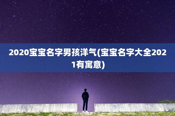 2020宝宝名字男孩洋气(宝宝名字大全2021有寓意)