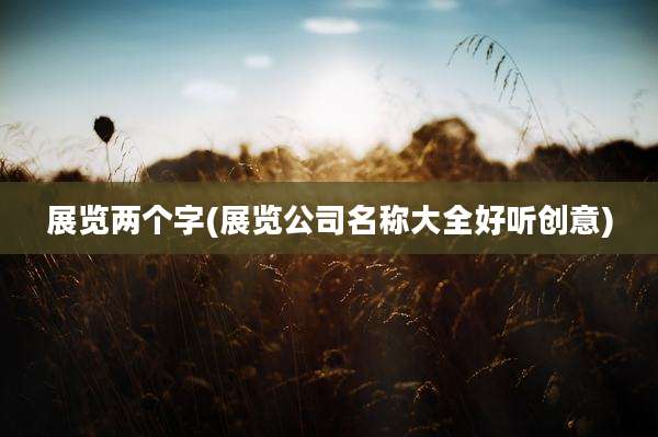 展览两个字(展览公司名称大全好听创意)