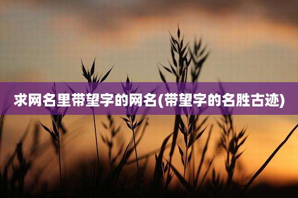 求网名里带望字的网名(带望字的名胜古迹)