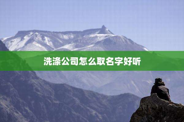洗涤公司怎么取名字好听