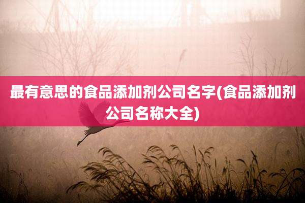 最有意思的食品添加剂公司名字(食品添加剂公司名称大全)