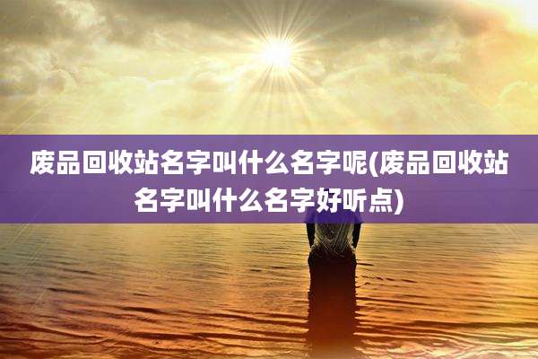 废品回收站名字叫什么名字呢(废品回收站名字叫什么名字好听点)
