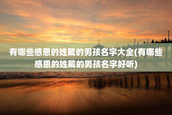 有哪些感恩的姓戴的男孩名字大全(有哪些感恩的姓戴的男孩名字好听)