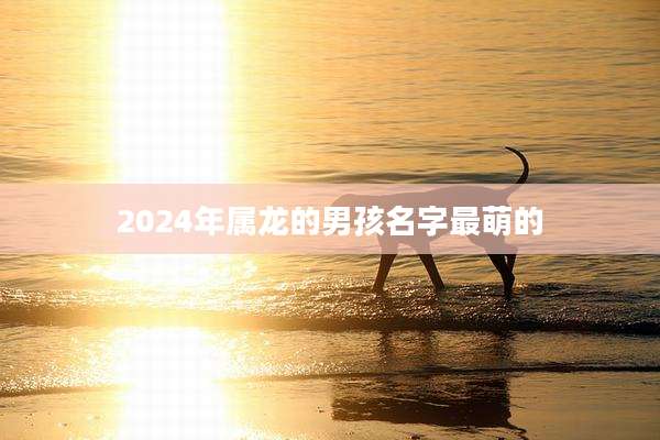 2024年属龙的男孩名字最萌的