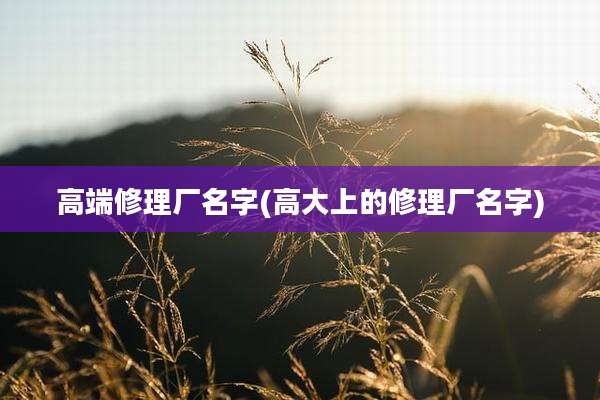 高端修理厂名字(高大上的修理厂名字)