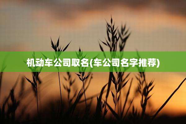 机动车公司取名(车公司名字推荐)