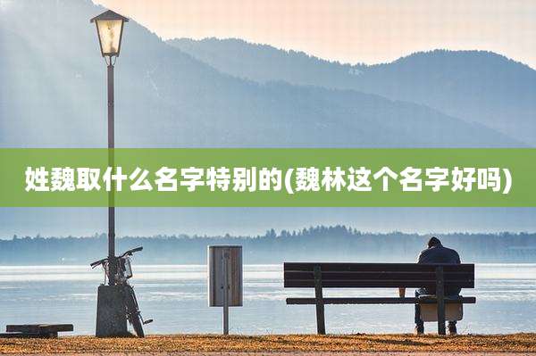 姓魏取什么名字特别的(魏林这个名字好吗)
