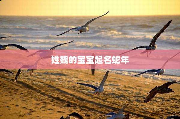 姓魏的宝宝起名蛇年