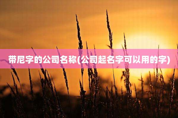 带尼字的公司名称(公司起名字可以用的字)