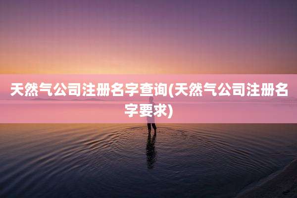 天然气公司注册名字查询(天然气公司注册名字要求)