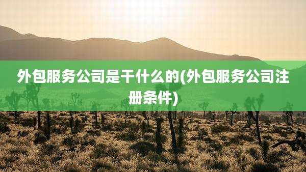 外包服务公司是干什么的(外包服务公司注册条件)
