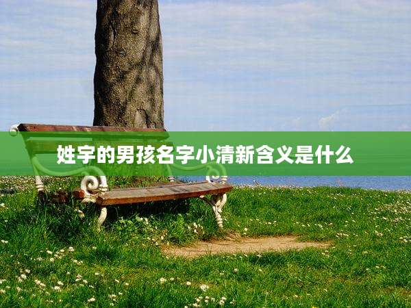 姓宇的男孩名字小清新含义是什么
