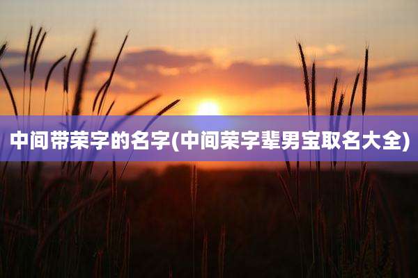 中间带荣字的名字(中间荣字辈男宝取名大全)