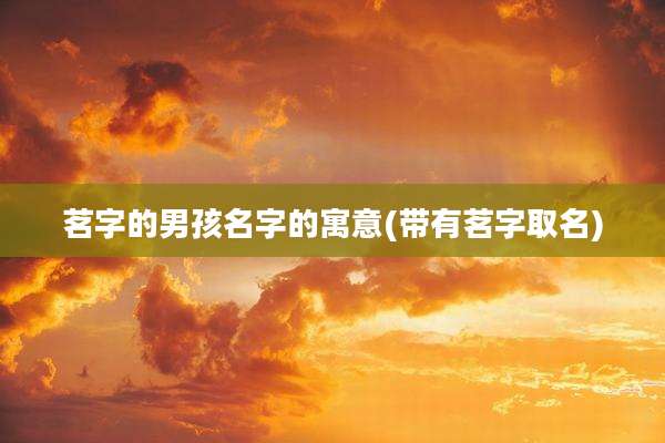 茗字的男孩名字的寓意(带有茗字取名)