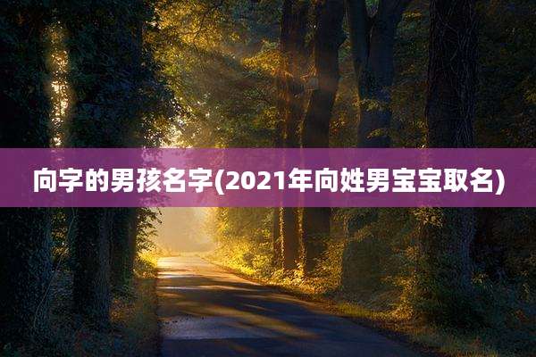 向字的男孩名字(2021年向姓男宝宝取名)