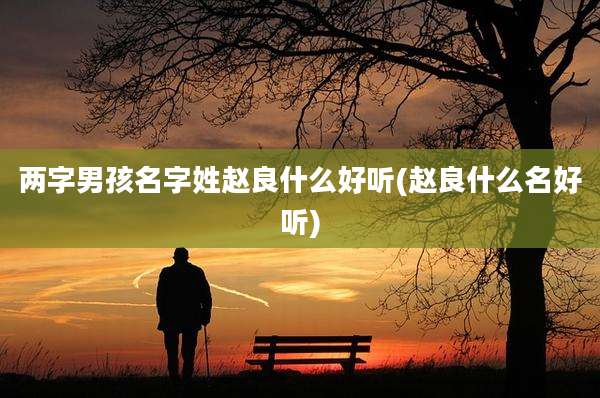 两字男孩名字姓赵良什么好听(赵良什么名好听)
