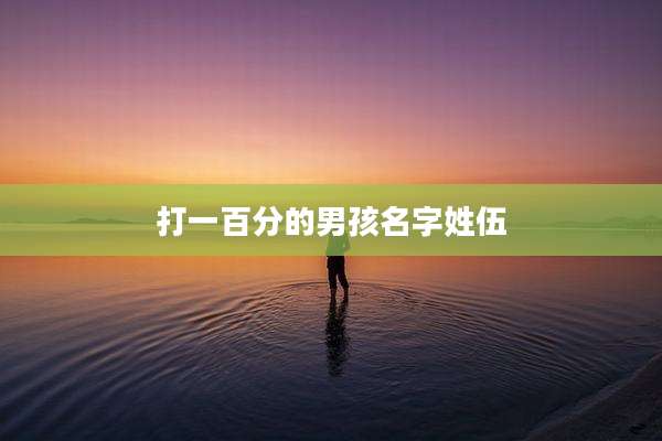 打一百分的男孩名字姓伍