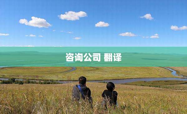 咨询公司 翻译