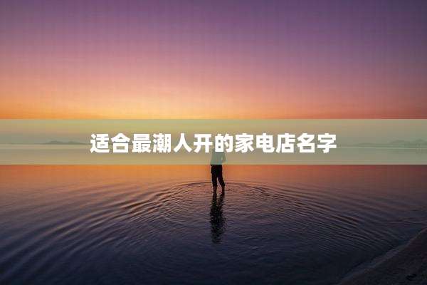 适合最潮人开的家电店名字
