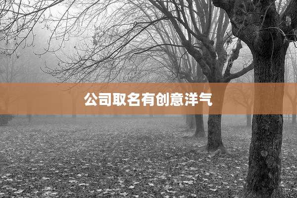 公司取名有创意洋气