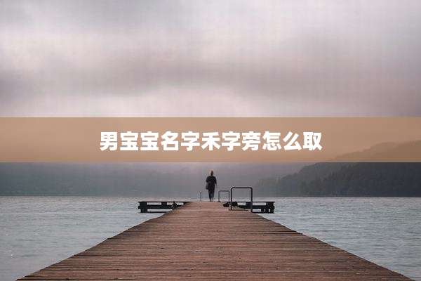 男宝宝名字禾字旁怎么取