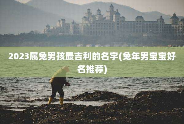 2023属兔男孩最吉利的名字(兔年男宝宝好名推荐)