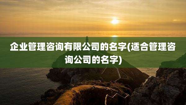 企业管理咨询有限公司的名字(适合管理咨询公司的名字)