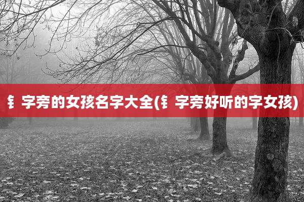 钅字旁的女孩名字大全(钅字旁好听的字女孩)