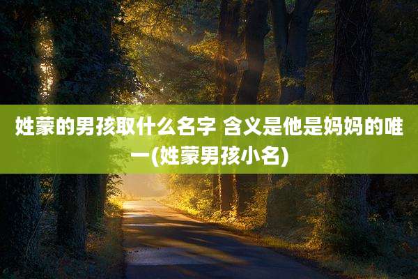 姓蒙的男孩取什么名字 含义是他是妈妈的唯一(姓蒙男孩小名)