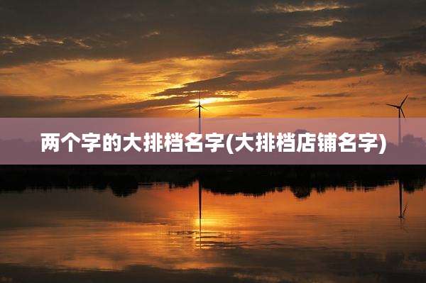 两个字的大排档名字(大排档店铺名字)