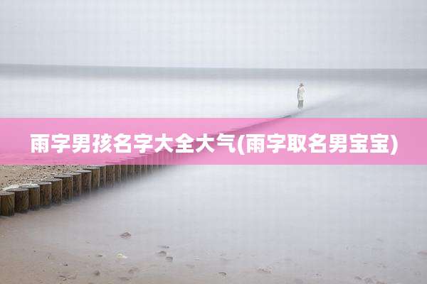雨字男孩名字大全大气(雨字取名男宝宝)