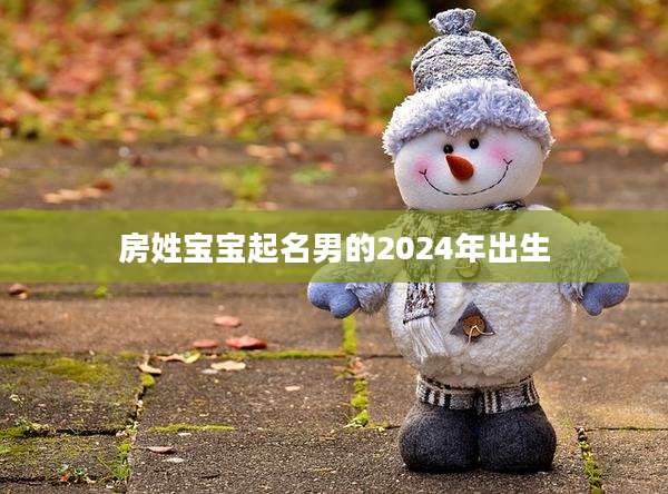 房姓宝宝起名男的2024年出生