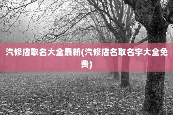 汽修店取名大全最新(汽修店名取名字大全免费)