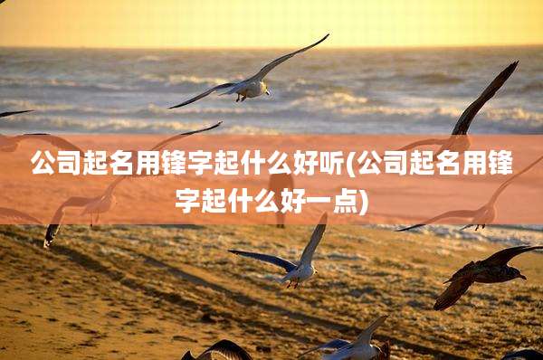 公司起名用锋字起什么好听(公司起名用锋字起什么好一点)