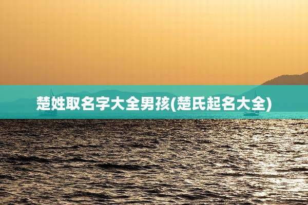 楚姓取名字大全男孩(楚氏起名大全)