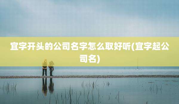 宜字开头的公司名字怎么取好听(宜字起公司名)