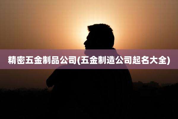 精密五金制品公司(五金制造公司起名大全)