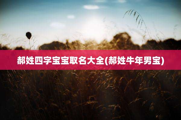 郝姓四字宝宝取名大全(郝姓牛年男宝)