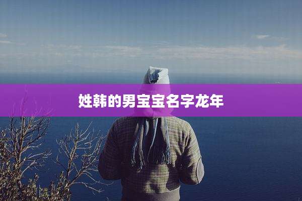 姓韩的男宝宝名字龙年
